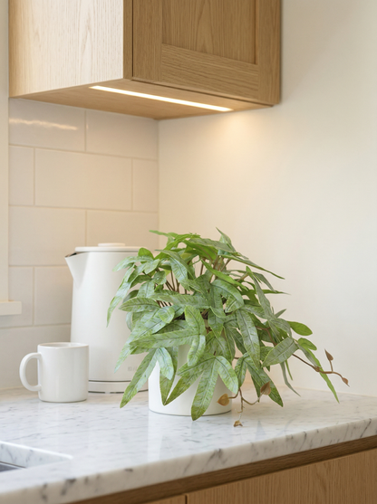 Faux Greenery - The Zen