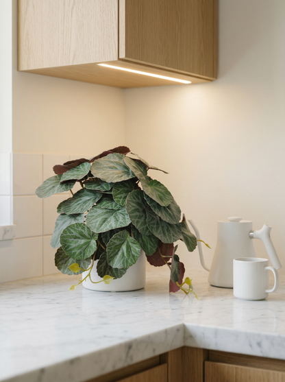 Faux Greenery - The Petite