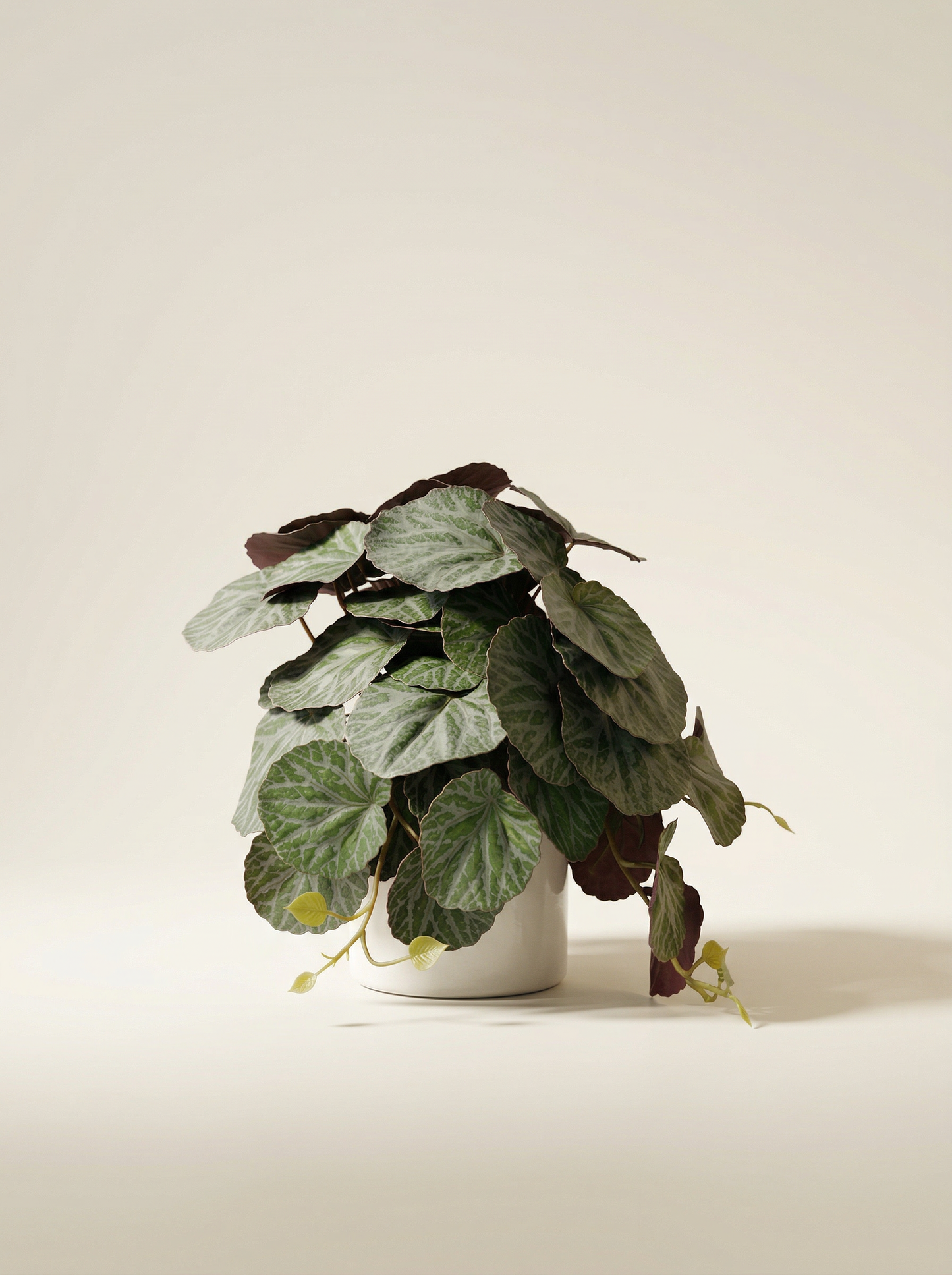 Faux Greenery - The Petite