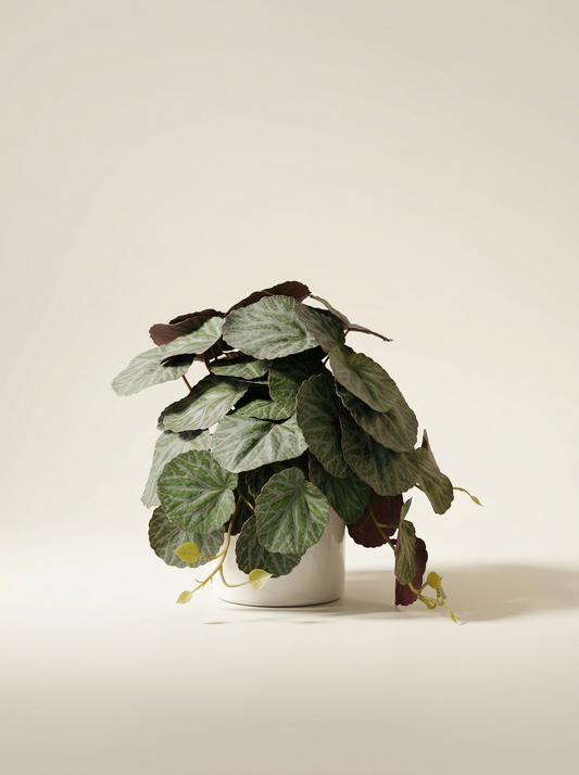 Faux Greenery - The Petite