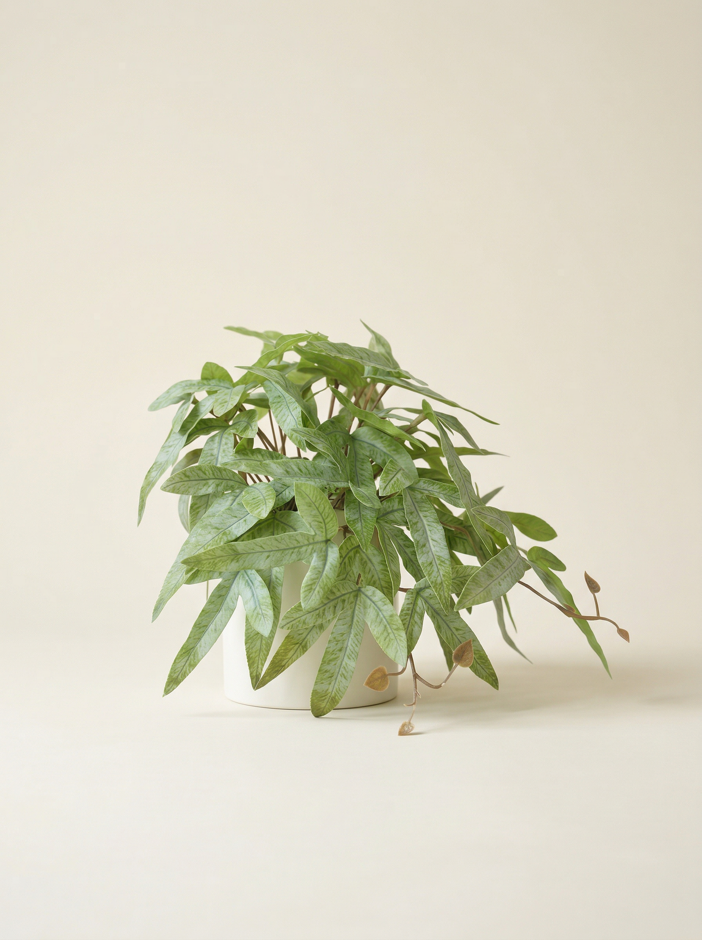 Faux Greenery - The Zen