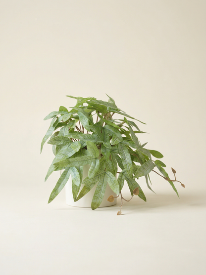 Faux Greenery - The Zen