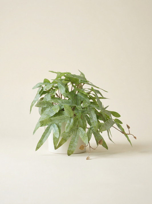 Faux Greenery - The Zen